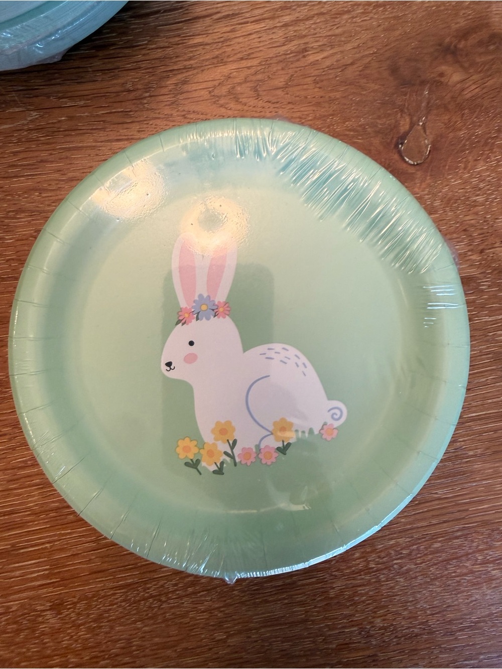 Spritz Mint Green Bunny Paper Plates with Pastel Floral Accents